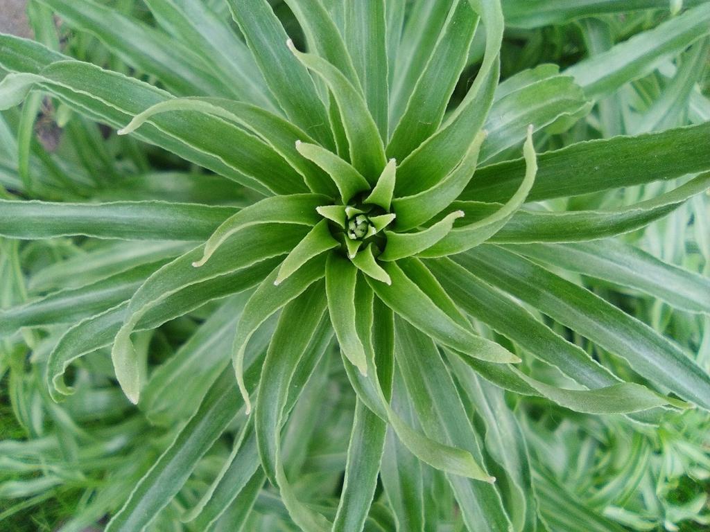 Case 7 input image 1